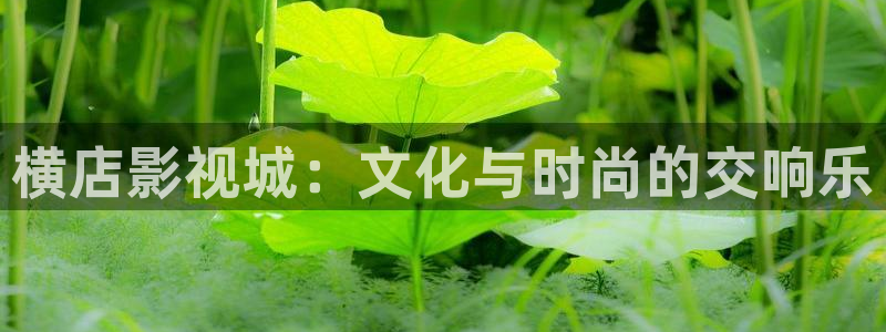 樱桃电影免费观看完整版