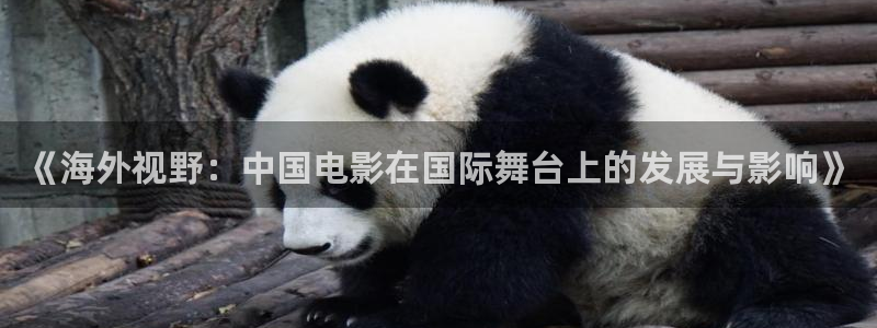 樱桃影院免费观看电视剧大全在线观看