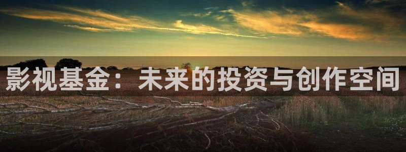 樱桃视频在线观看官网